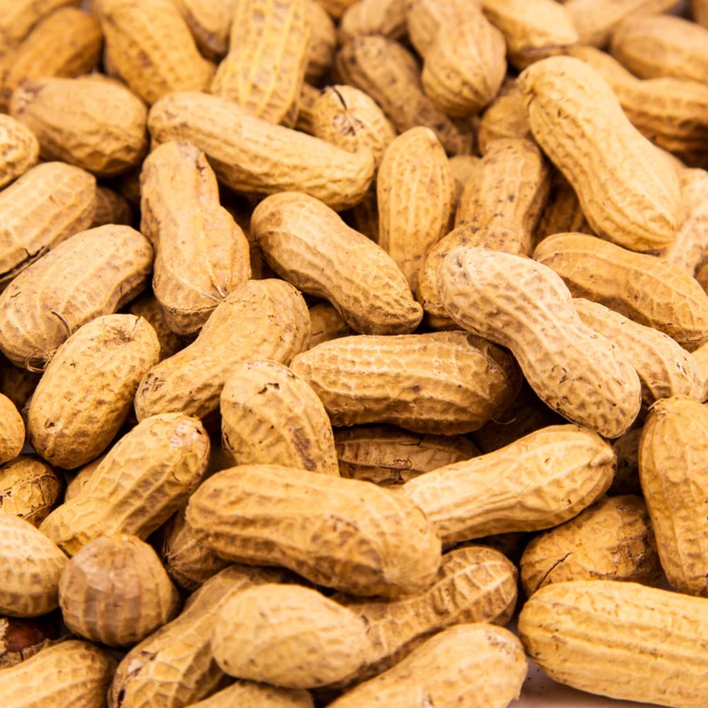 Roasted Unsalted Peanuts In Shell