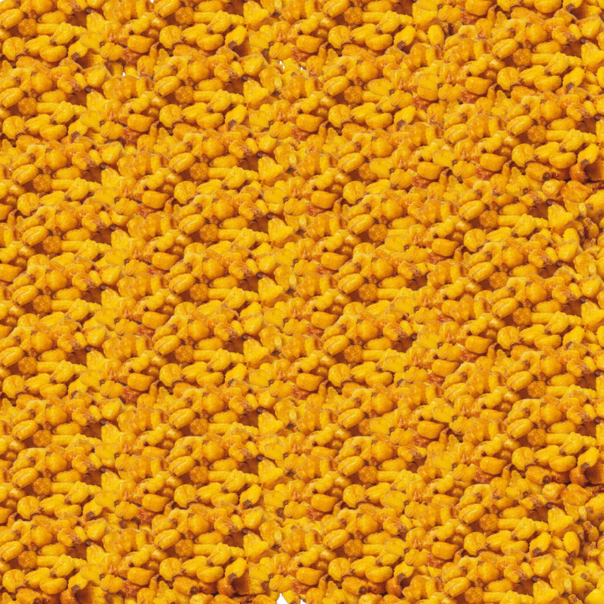 Corn Nuts
