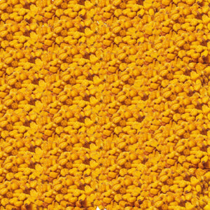 Corn Nuts