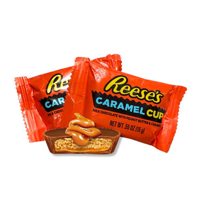 Reese's Milk Chocolate Peanut Butter Cups With Caramel, Snack Size, Bulk Value Bag